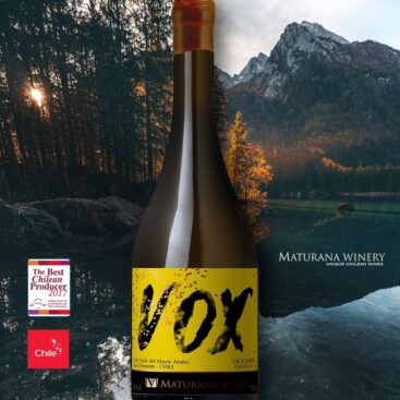Viaje pelos sabores do VOX, vinho exótico produzido no Chile
