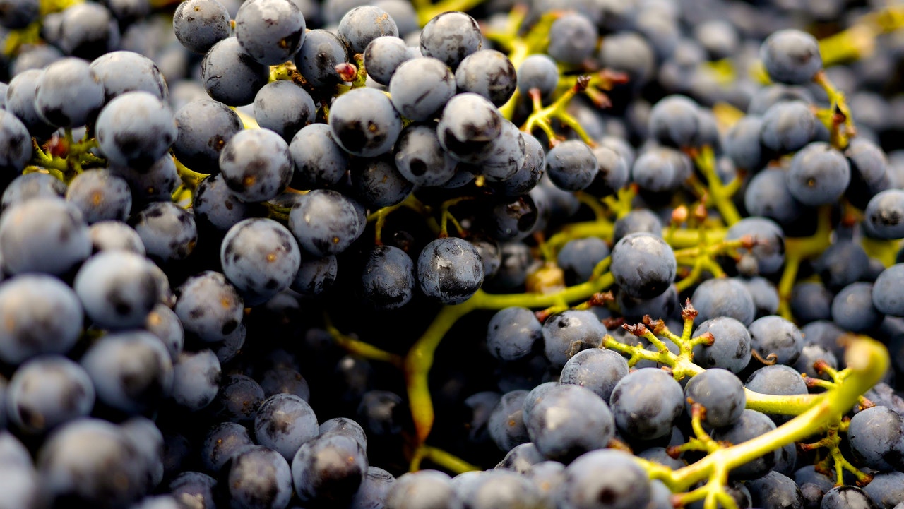 Qual o mistério dos vinhos naturais?